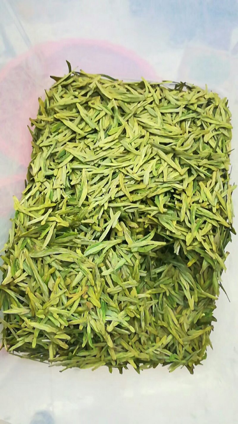 龙井茶富阳龙井