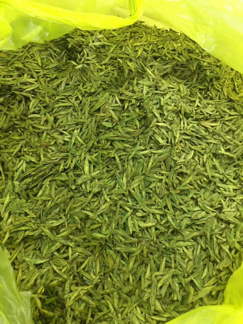 龙井茶富阳龙井