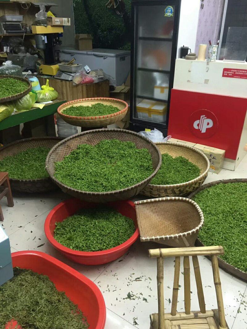 龙井茶富阳龙井