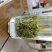 黄山毛峰特级揉捻