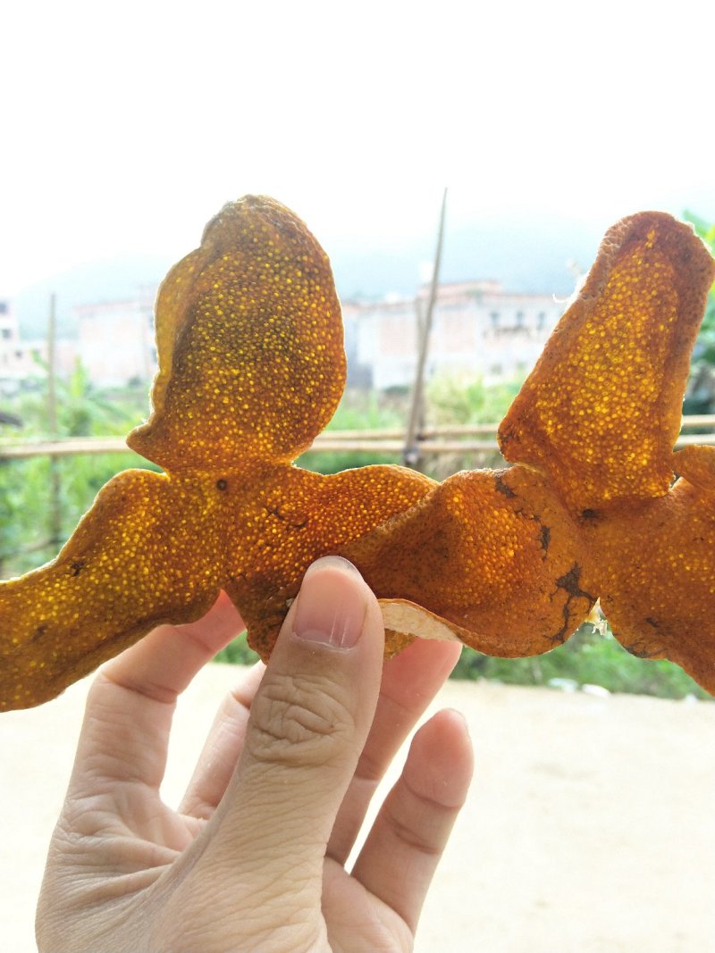 陈皮，三花皮新会陈皮陈皮