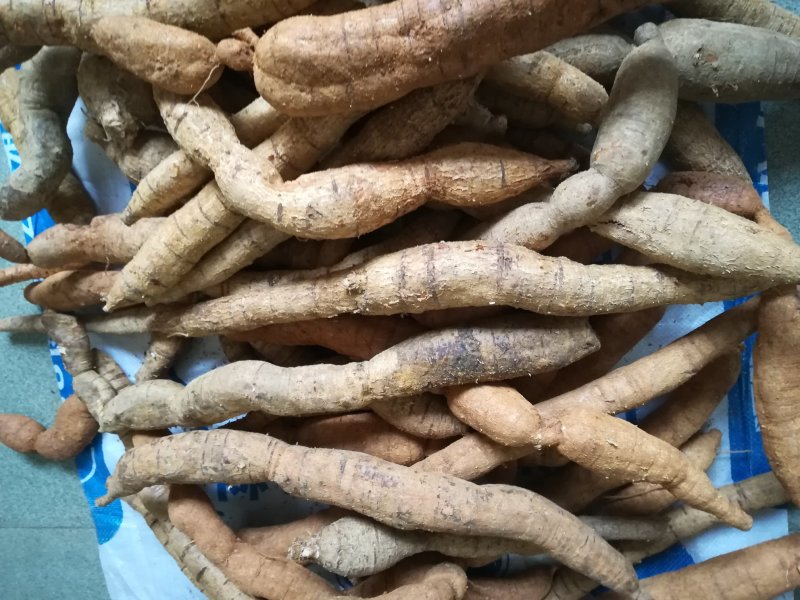 野生牛大力