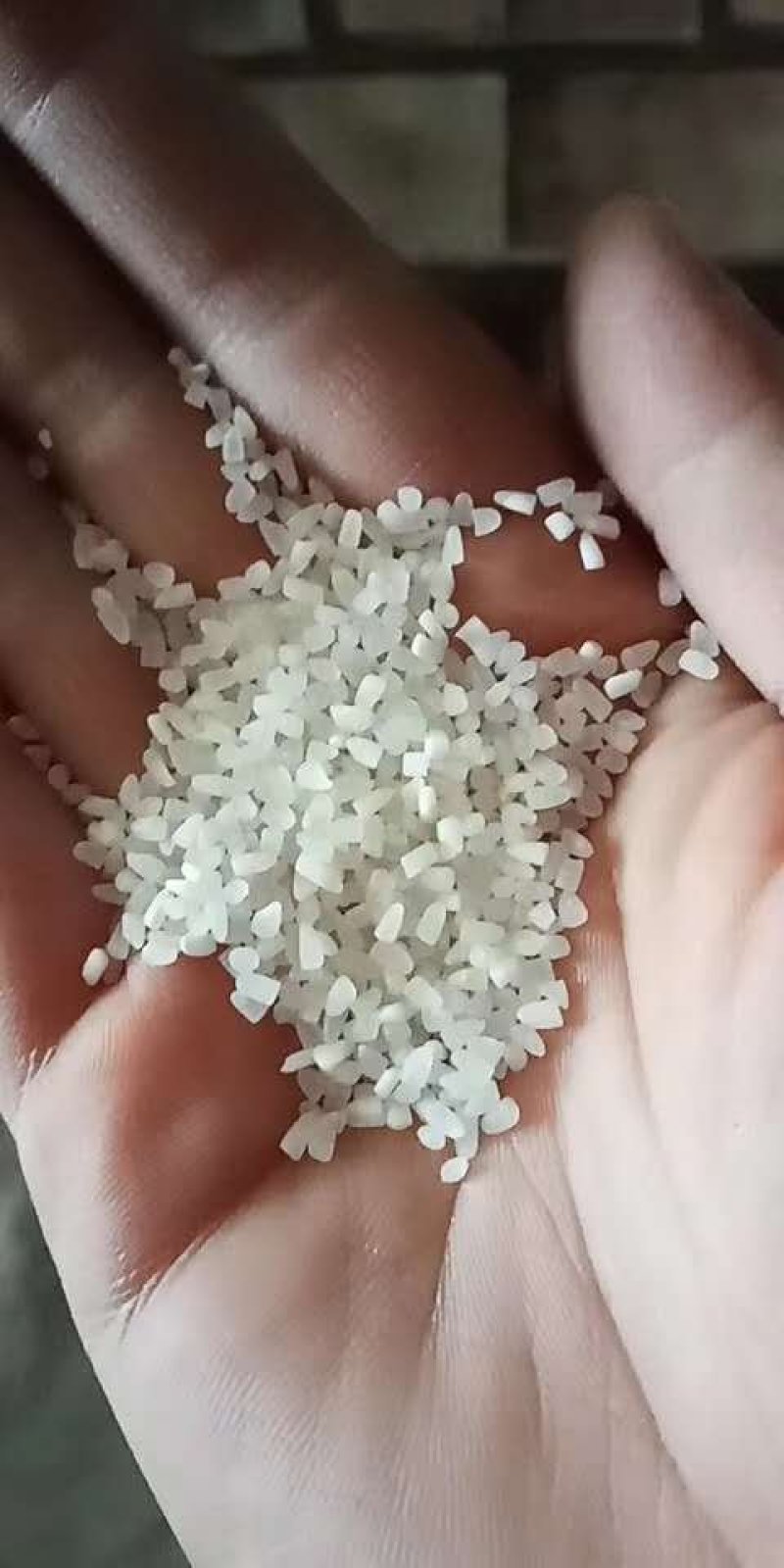 碎米，抛光碎米，毛碎，色选米