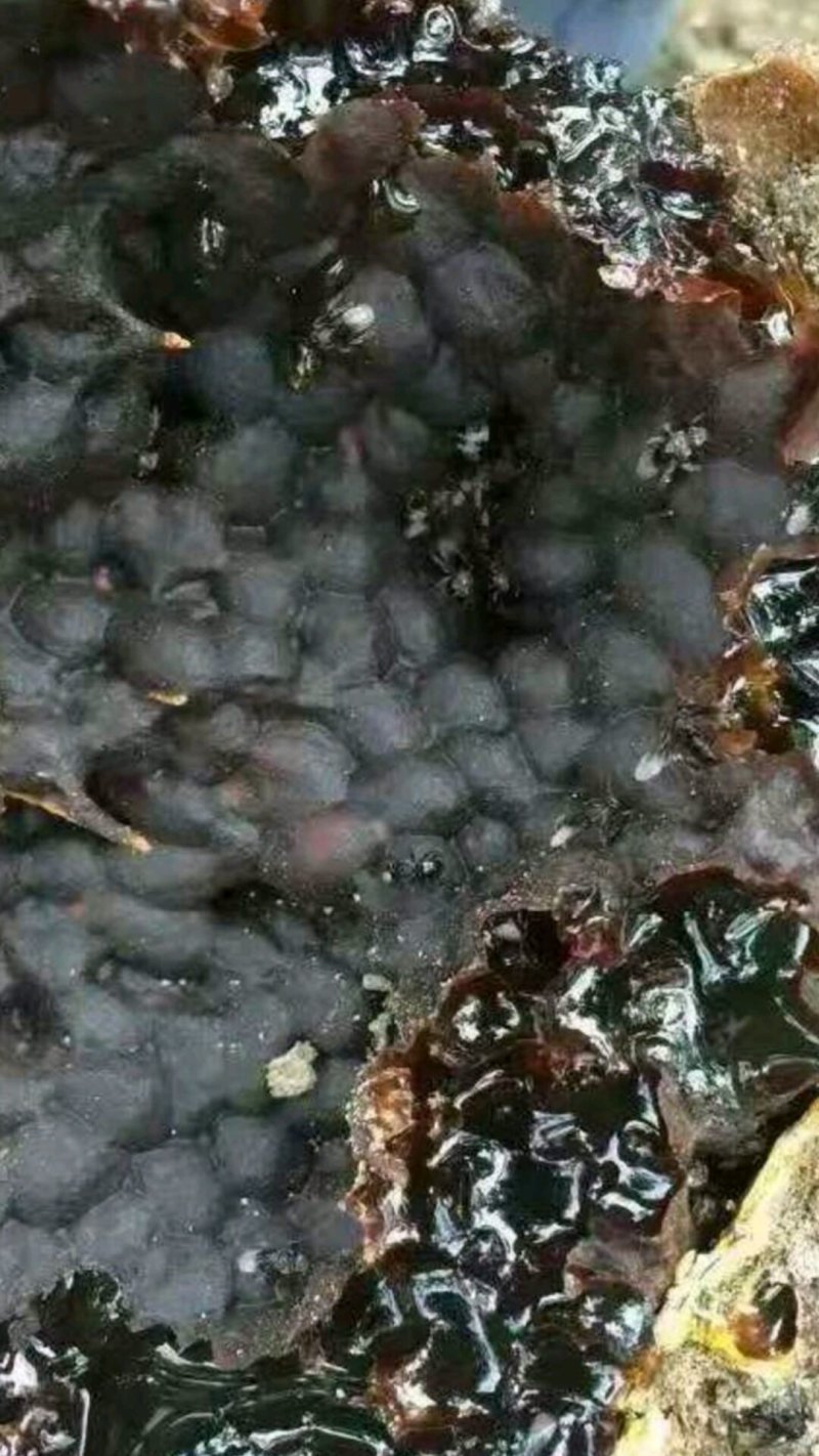 酸蜂蜜