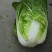黄心白菜2-4斤秋胜，彭州冬白菜大量上市了