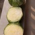 甘蓝中甘21新鲜货源，产地直发，专业商超对接，