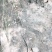 正宗皖南土鸡山林放养味道鲜美是你的不二之选。