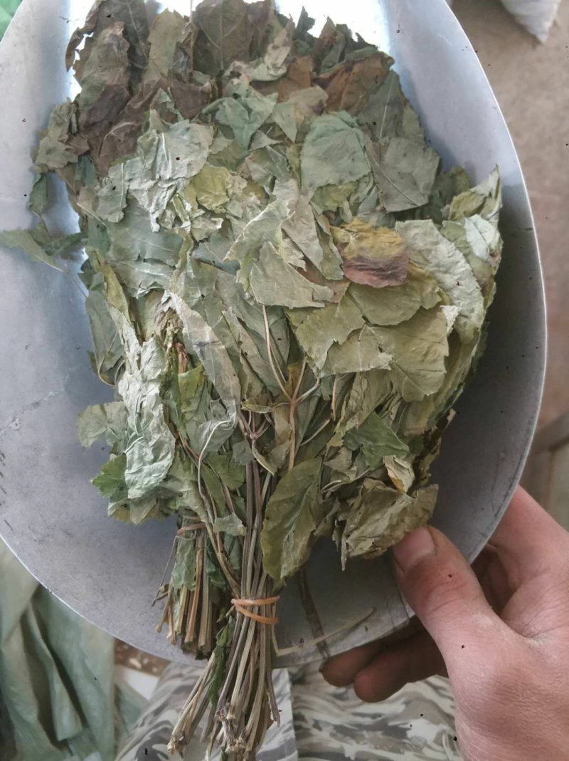 人参叶货好量大要多了有优惠欢迎下单