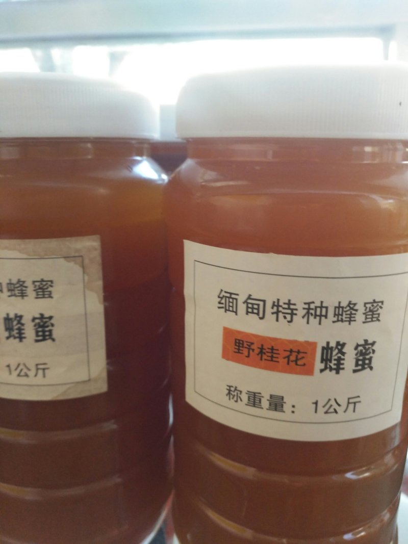 一手货源产地直销纯野生蜂巢蜜招全国代理