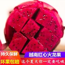 【越南进口】【双重保鲜】红心火龙果6个装夏季新鲜水果批发