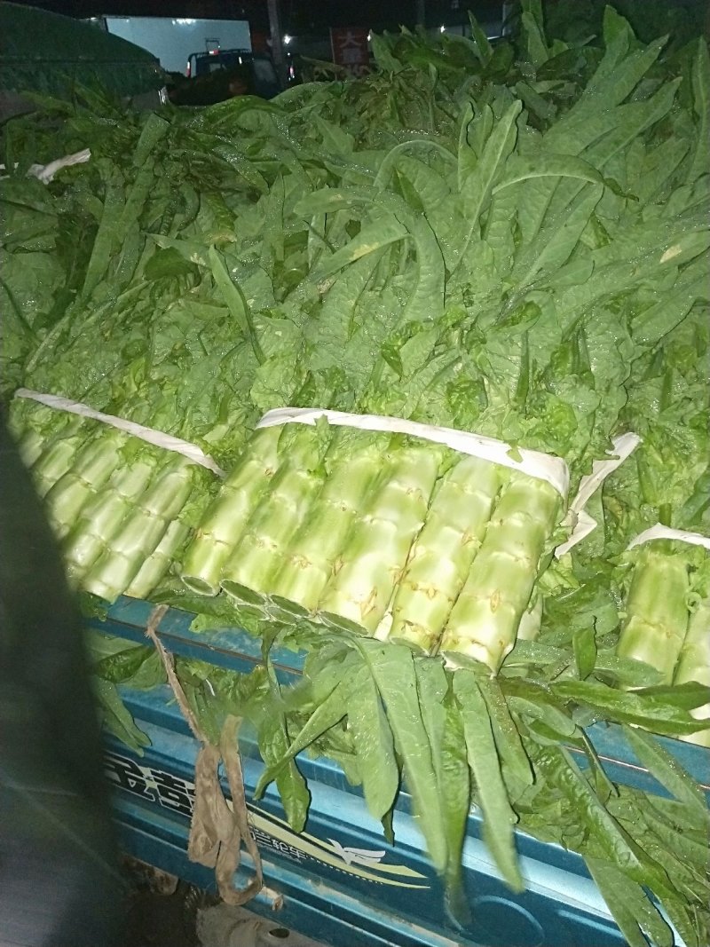 红叶香莴笋
