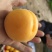 金太阳杏