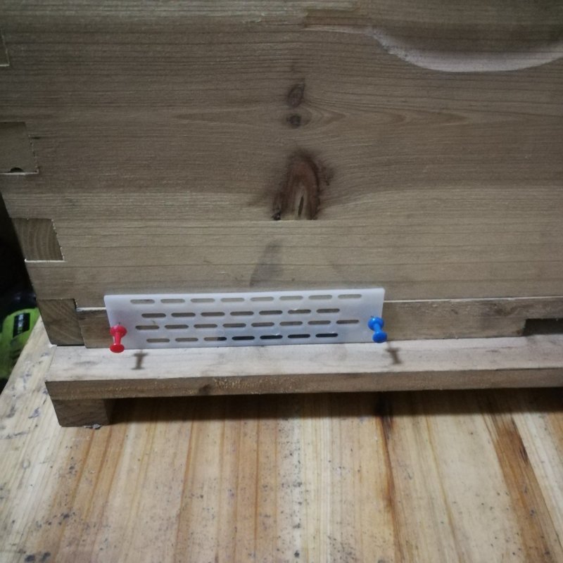 蜜蜂中蜂防跑王片中蜂防逃片蜂箱蜂王防跑片防盗蜂隔王片塑料
