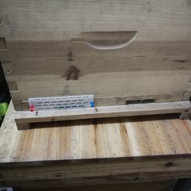蜜蜂中蜂防跑王片中蜂防逃片蜂箱蜂王防跑片防盗蜂隔王片塑料