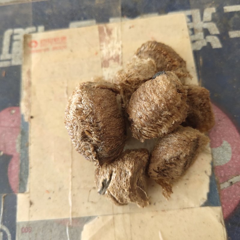 桑螵蛸蟑螂壳选关书药业1000g起批