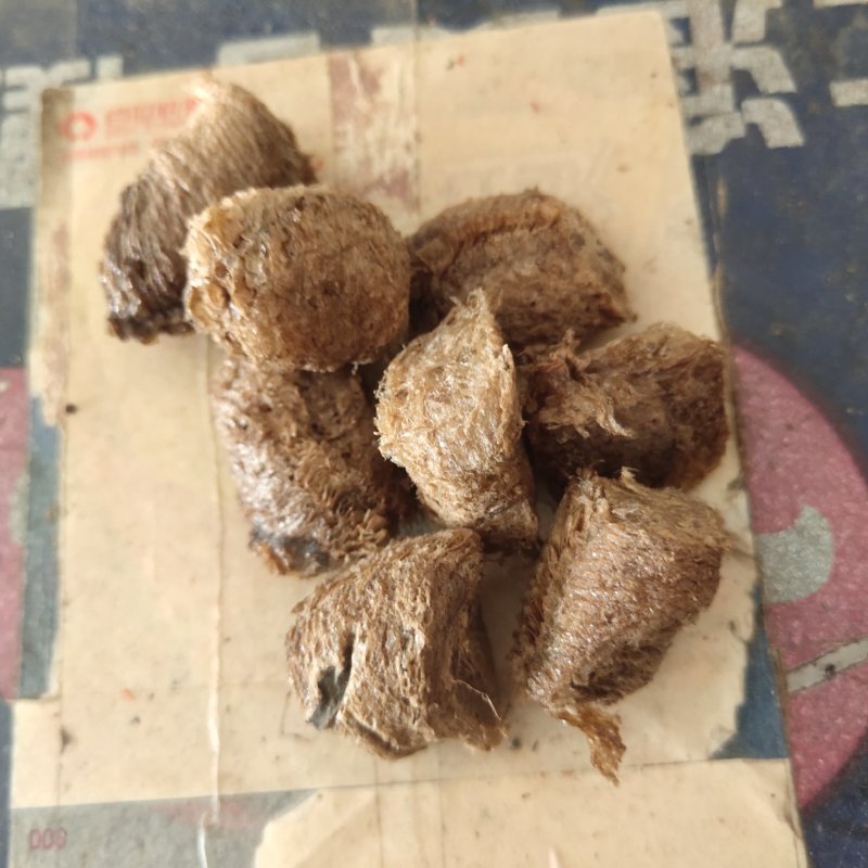 桑螵蛸蟑螂壳选关书药业1000g起批