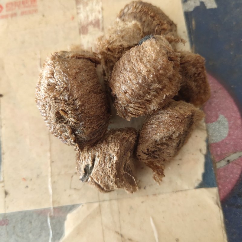 桑螵蛸蟑螂壳选关书药业1000g起批