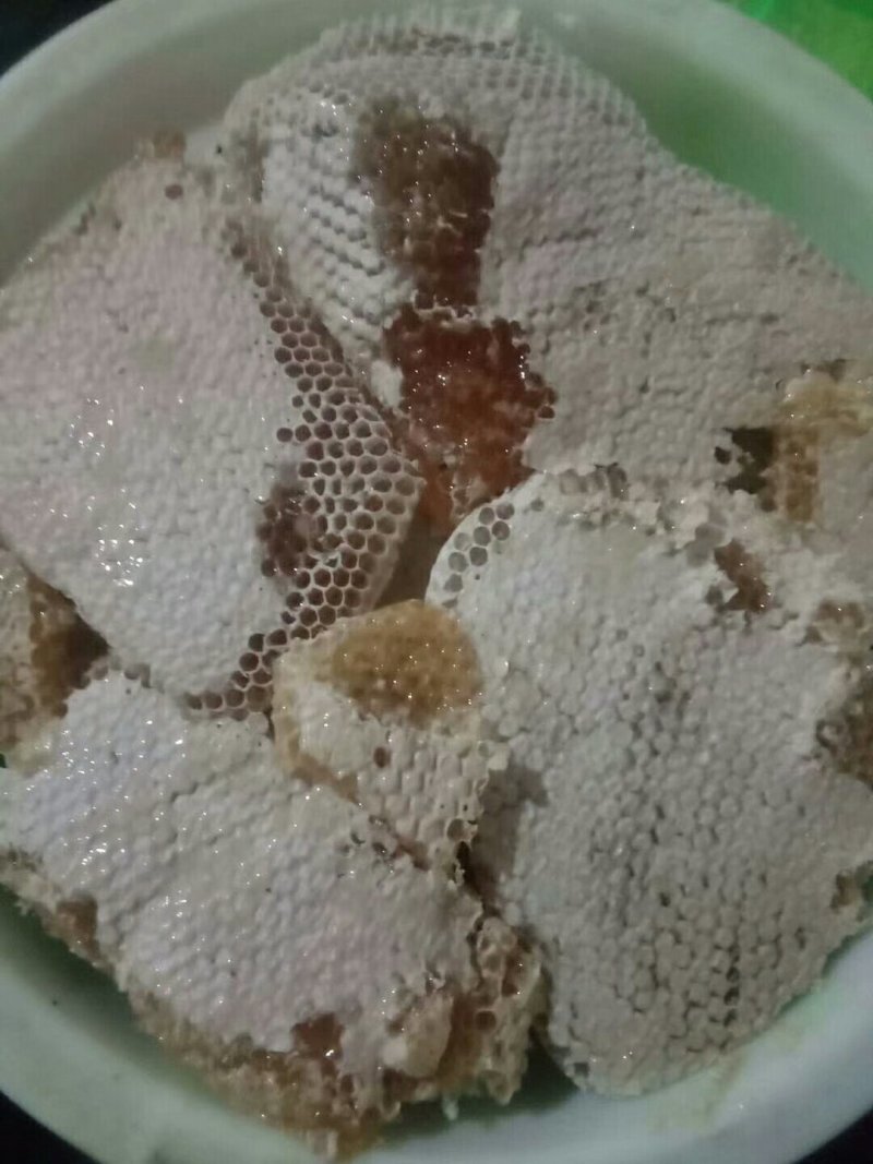 土蜂巢蜜,来自老君山森林公园的