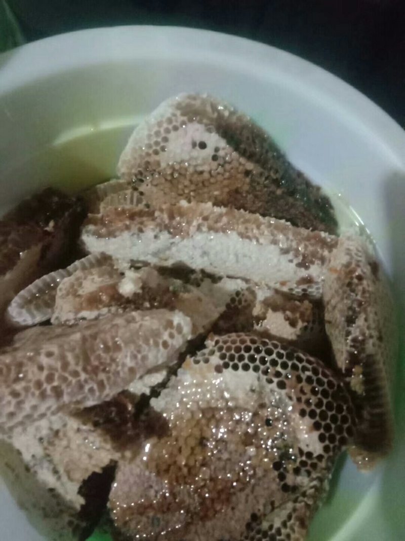 土蜂巢蜜,来自老君山森林公园的