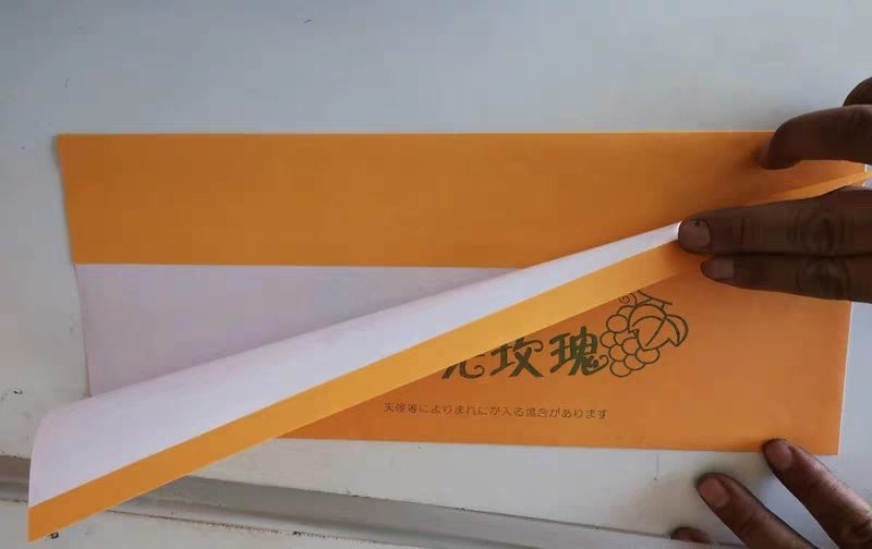 葡萄包装袋哈密瓜包装袋阳光玫瑰包装袋T型包装袋