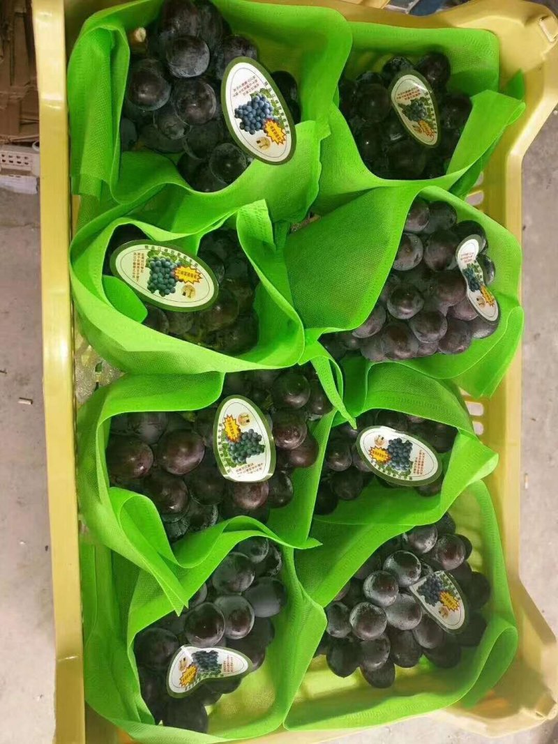 葡萄包装袋哈密瓜包装袋阳光玫瑰包装袋T型包装袋
