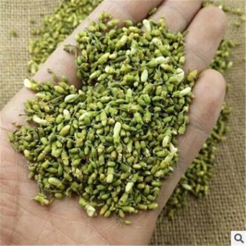 槐米可直接泡茶喝