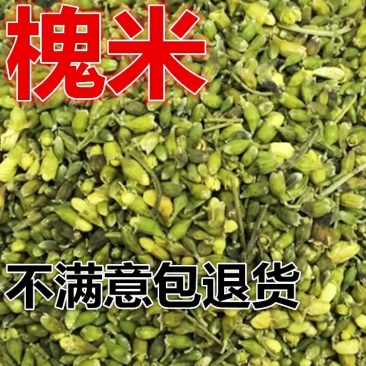 槐米可直接泡茶喝