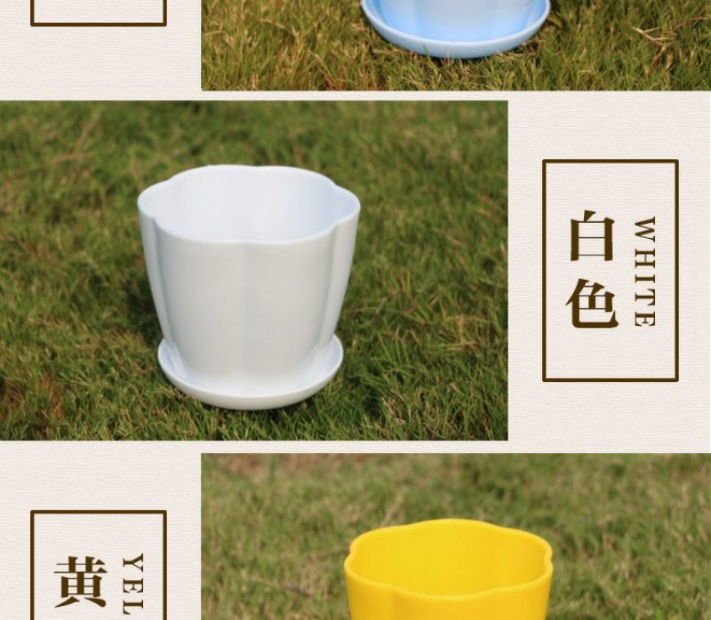 花瓣花盆多肉PP树植有孔含托盘