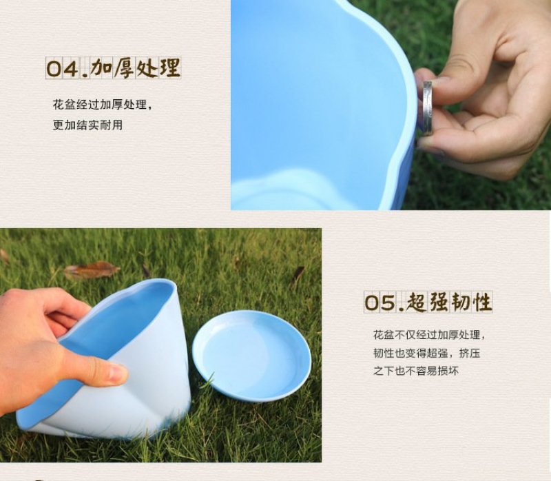 花瓣花盆多肉PP树植有孔含托盘