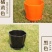 花瓣花盆多肉PP树植有孔含托盘
