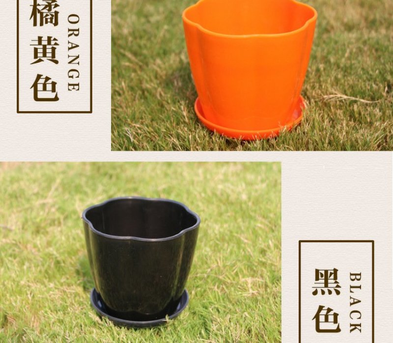 花瓣花盆多肉PP树植有孔含托盘