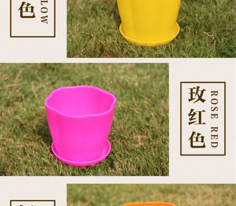 花瓣花盆多肉PP树植有孔含托盘
