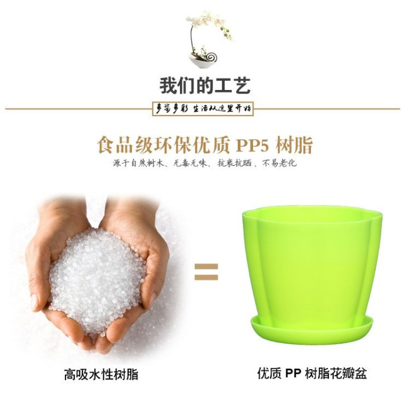 花瓣花盆多肉PP树植有孔含托盘