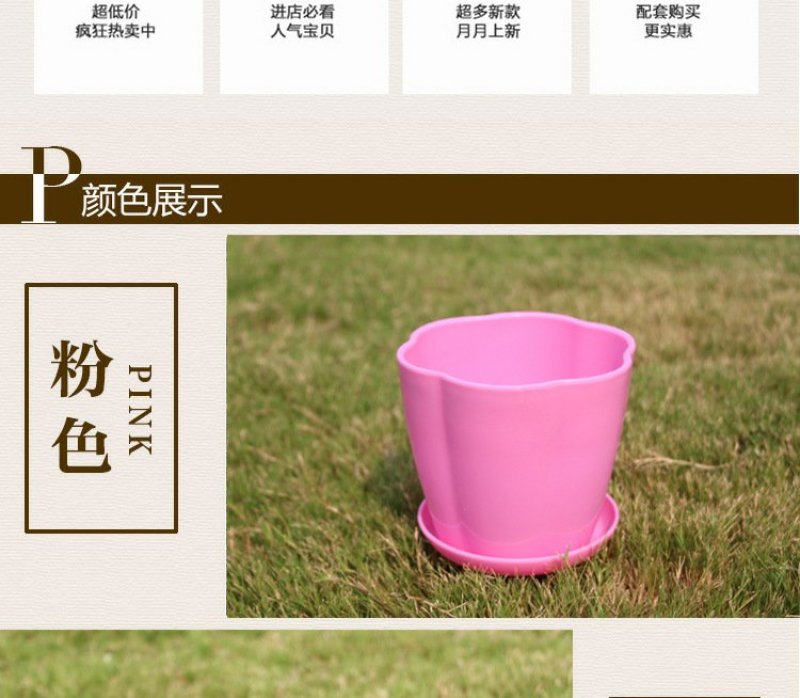 花瓣花盆多肉PP树植有孔含托盘