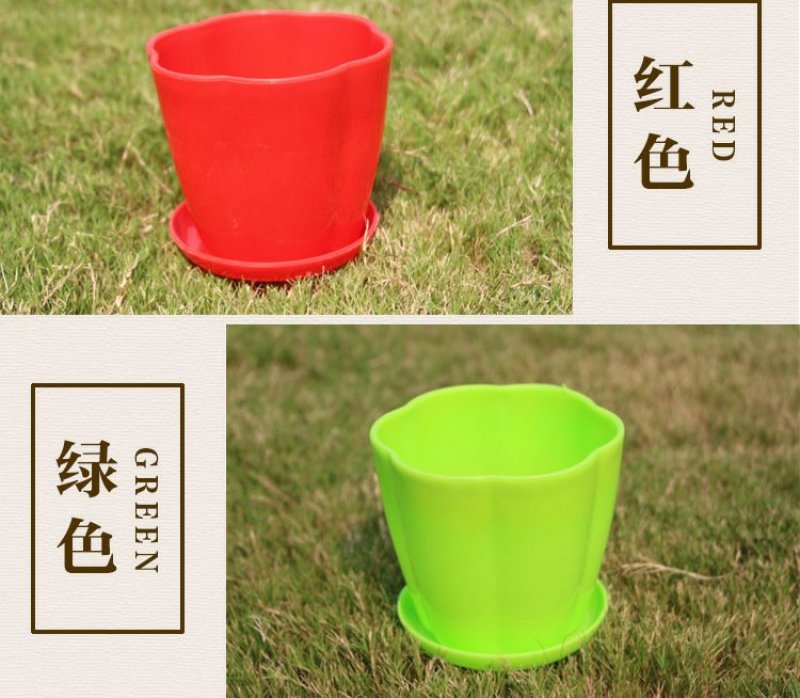 花瓣花盆多肉PP树植有孔含托盘