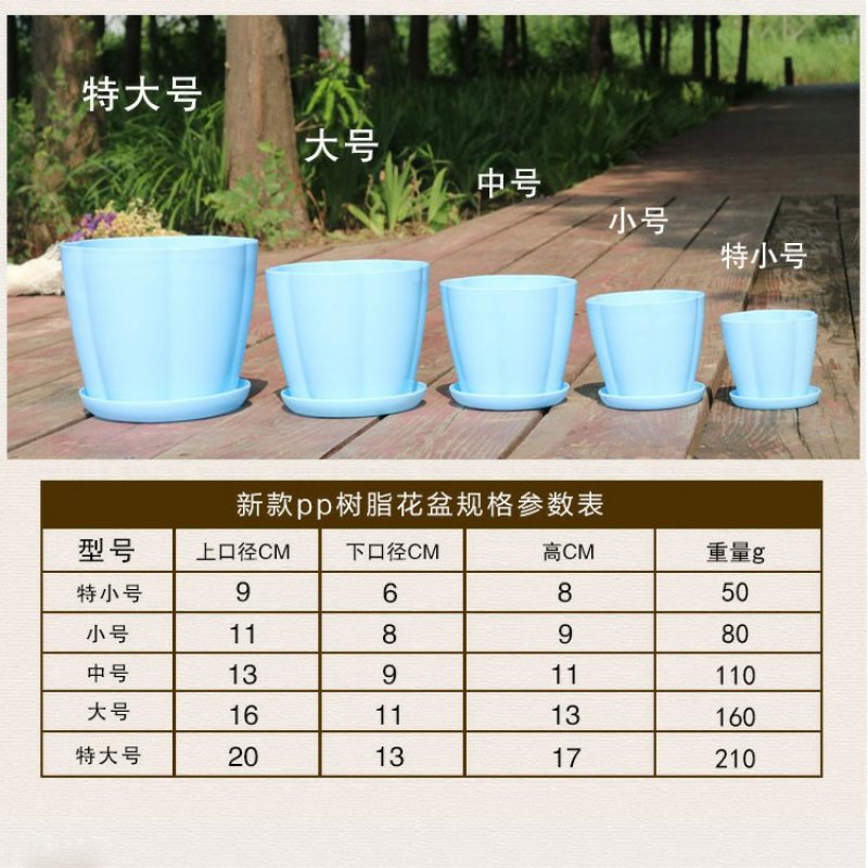 花瓣花盆多肉PP树植有孔含托盘