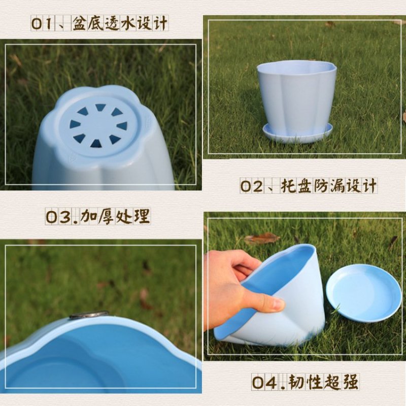 花瓣花盆多肉PP树植有孔含托盘