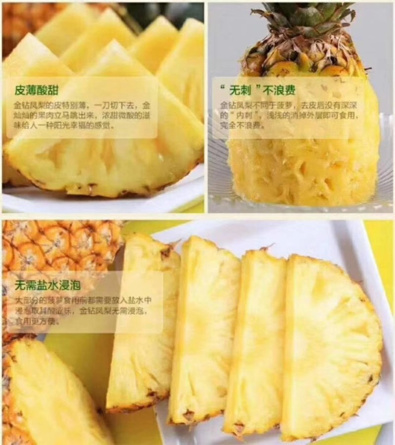 金钻凤梨现采现发，新鲜凤梨活动开启，，，，，，，，，，，