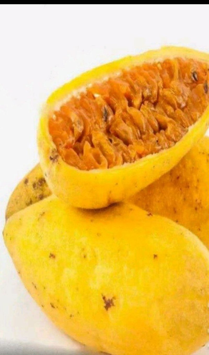 香蕉味百香果苗