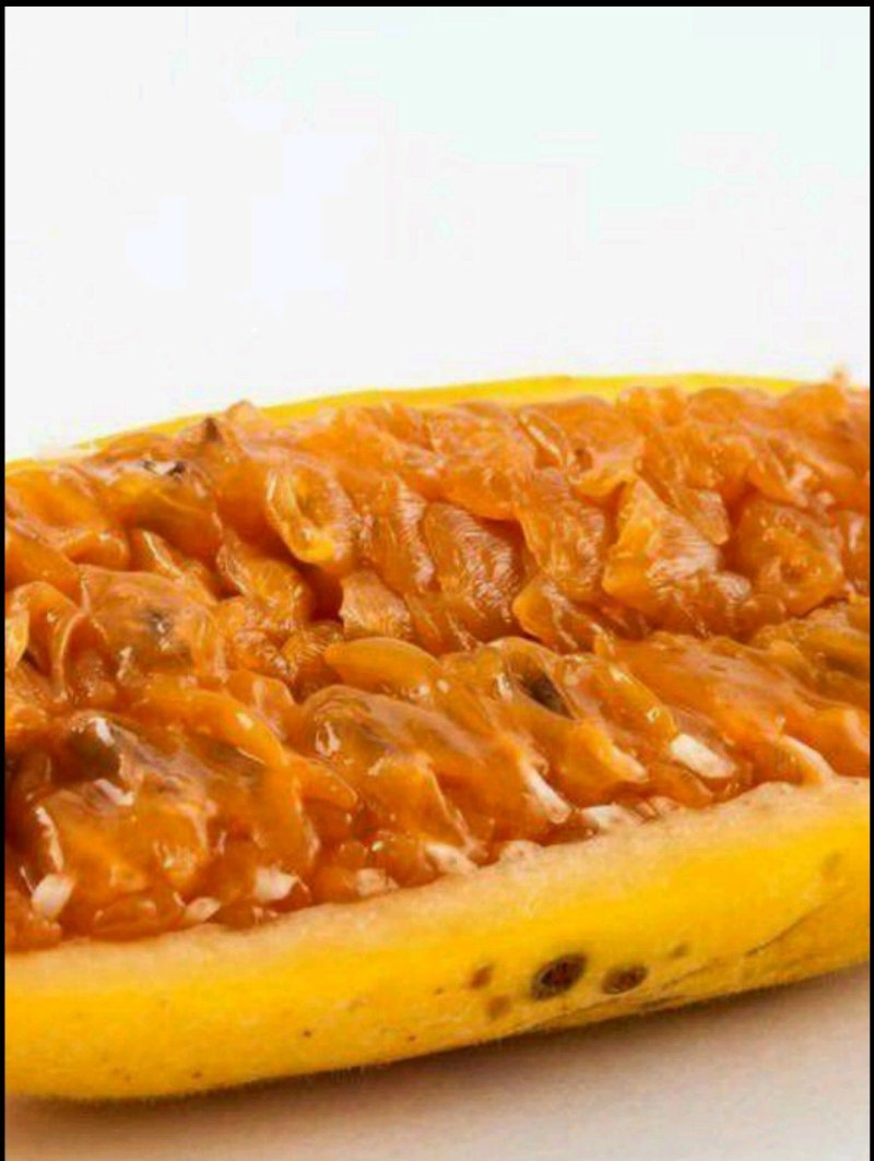 香蕉味百香果苗