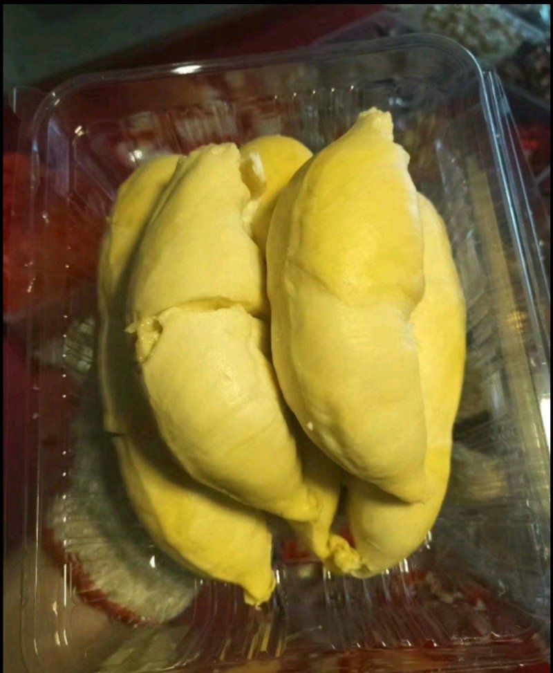 金枕榴莲苗