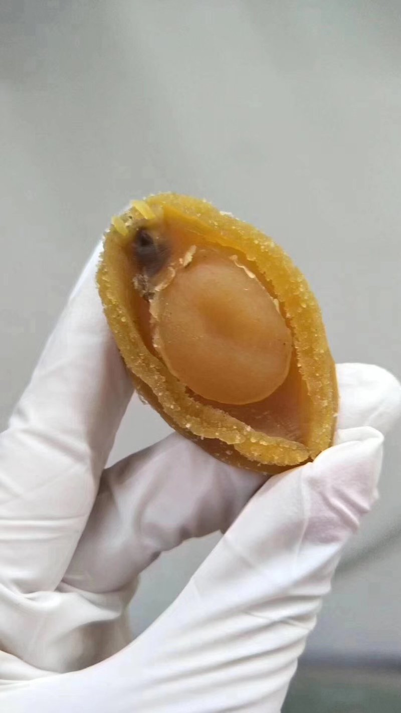 硇洲天然大鲍鱼干40头