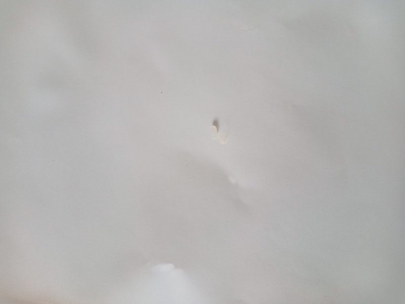 莲花泡大米，纯纯松花江水灌溉，使用有机肥培育的优良大米。