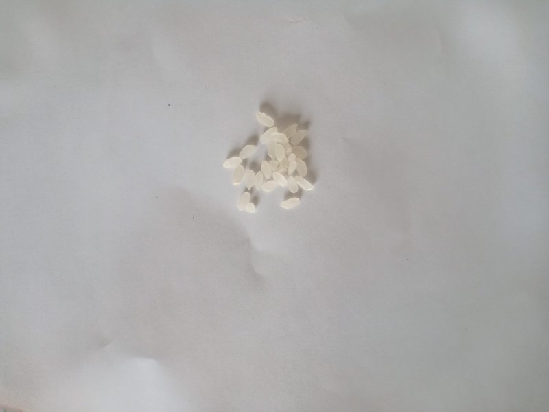 莲花泡大米，纯纯松花江水灌溉，使用有机肥培育的优良大米。