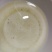 红鲫鱼黄尾密鯝（黄尾子）