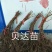 东北抗寒高产贝达葡萄苗