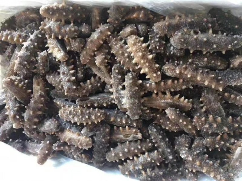 即食海参