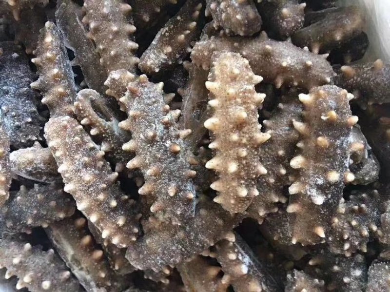 即食海参