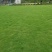 马尼拉