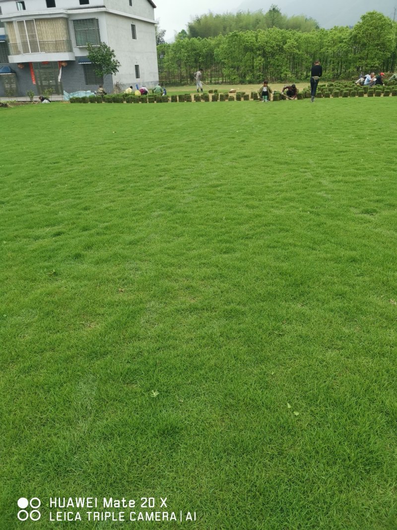 马尼拉